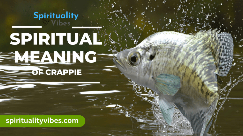 Spiritual Meaning of Crappie