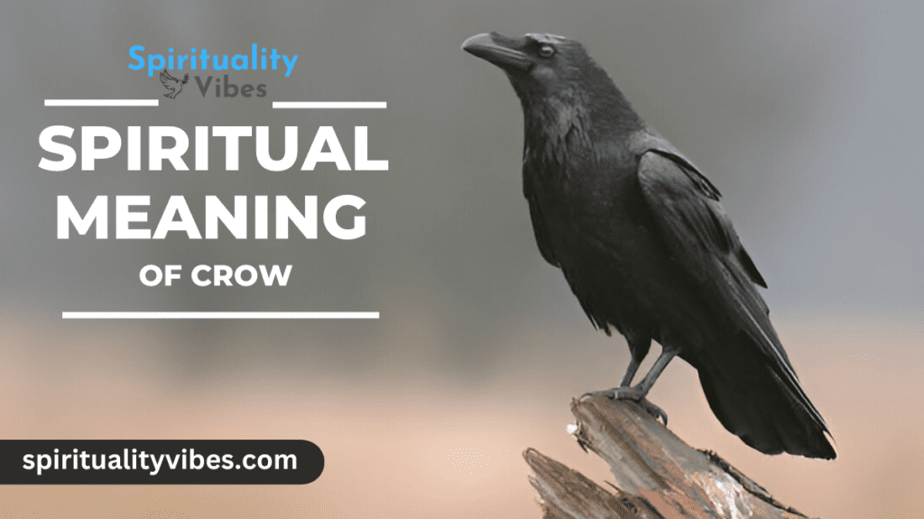 Spiritual Meaning of Crow