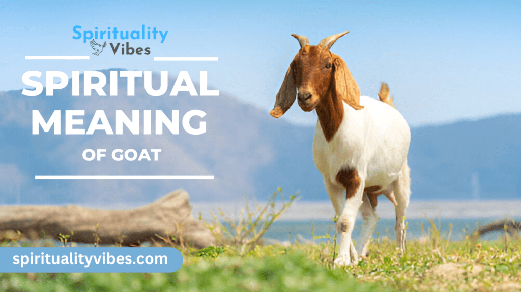 Spiritual Meaning of Goat