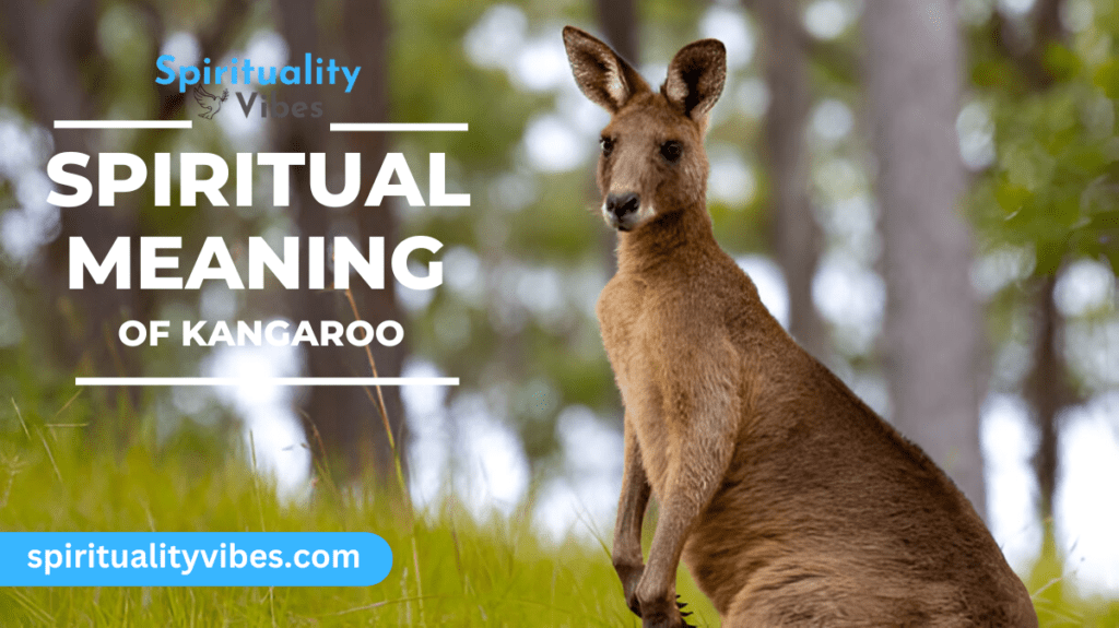 Spiritual Meaning of Kangaroo