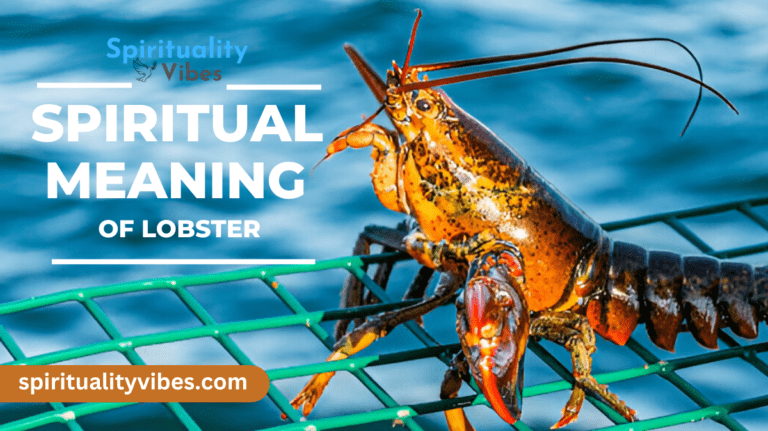 Spiritual Meaning of Lobster