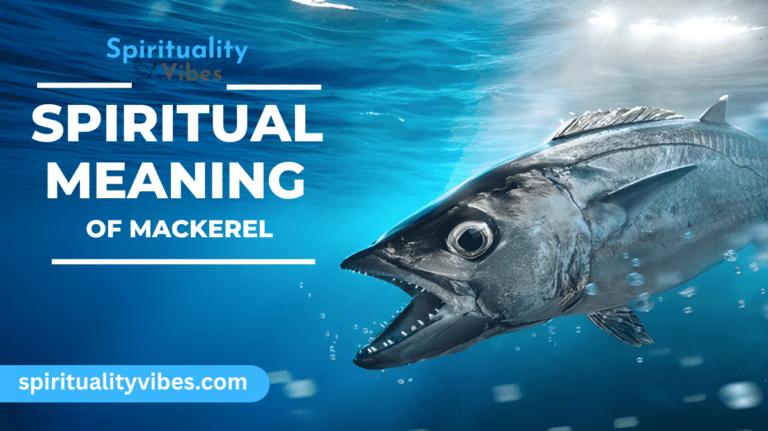 Spiritual Meaning of Mackerel