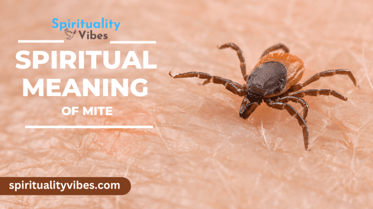 Spiritual Meaning of Mite