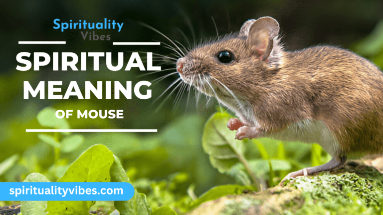 Spiritual Meaning of Mouse