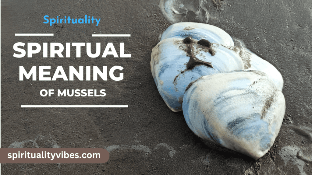 Spiritual Meaning of Mussels