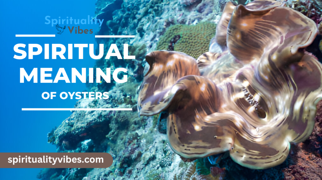 Spiritual Meaning of Oysters