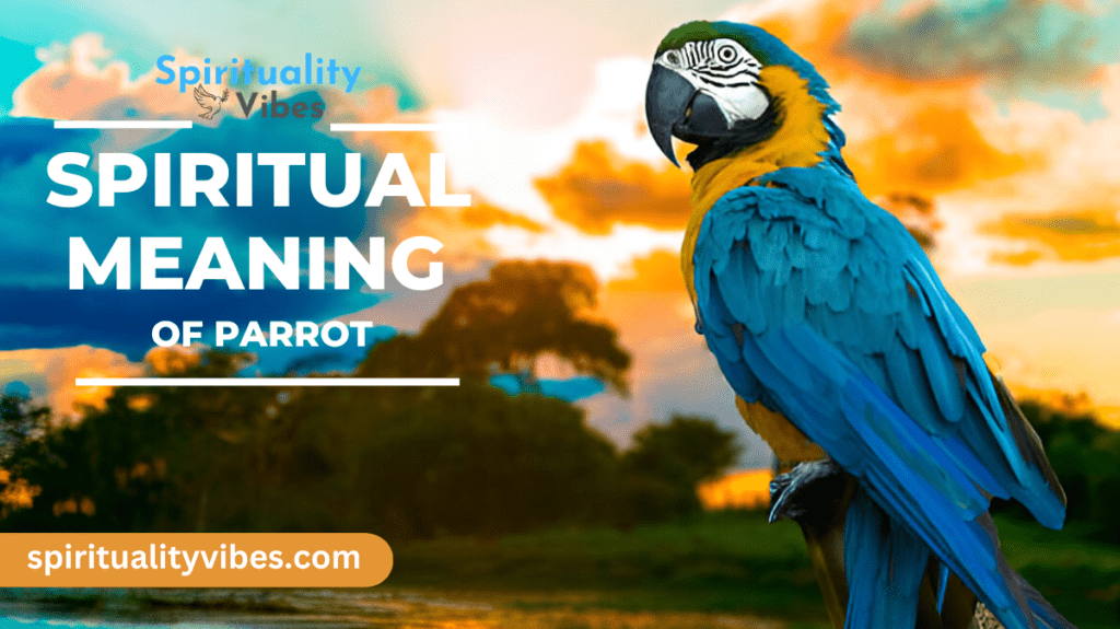 Spiritual Meaning of Parrot