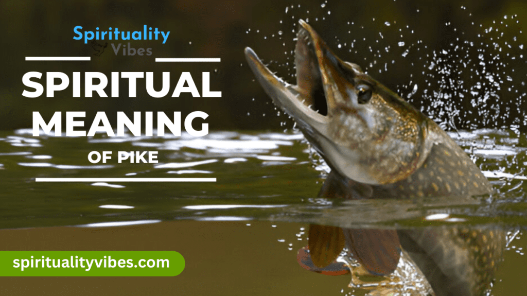 Spiritual Meaning of Pike