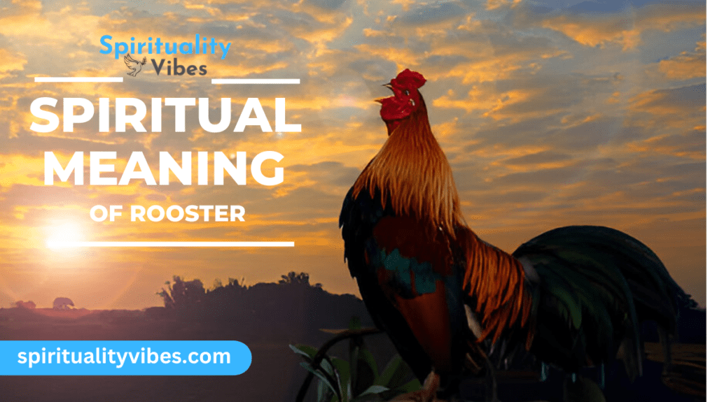 Spiritual Meaning of Rooster