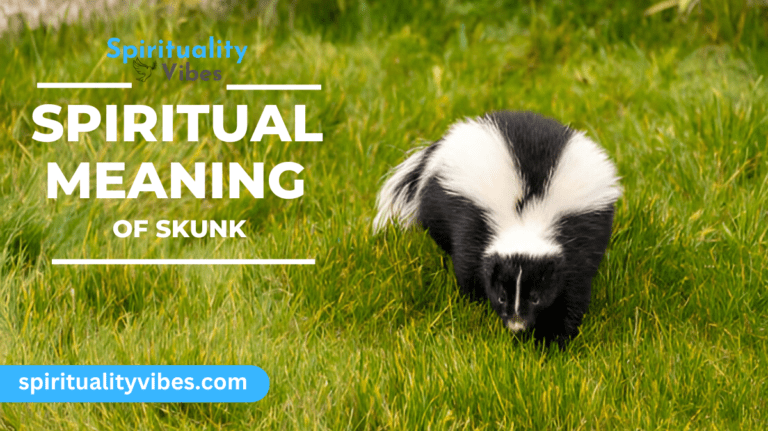 Spiritual Meaning of Skunk