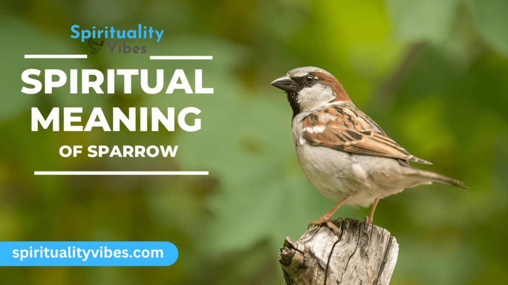 Spiritual Meaning of Sparrow