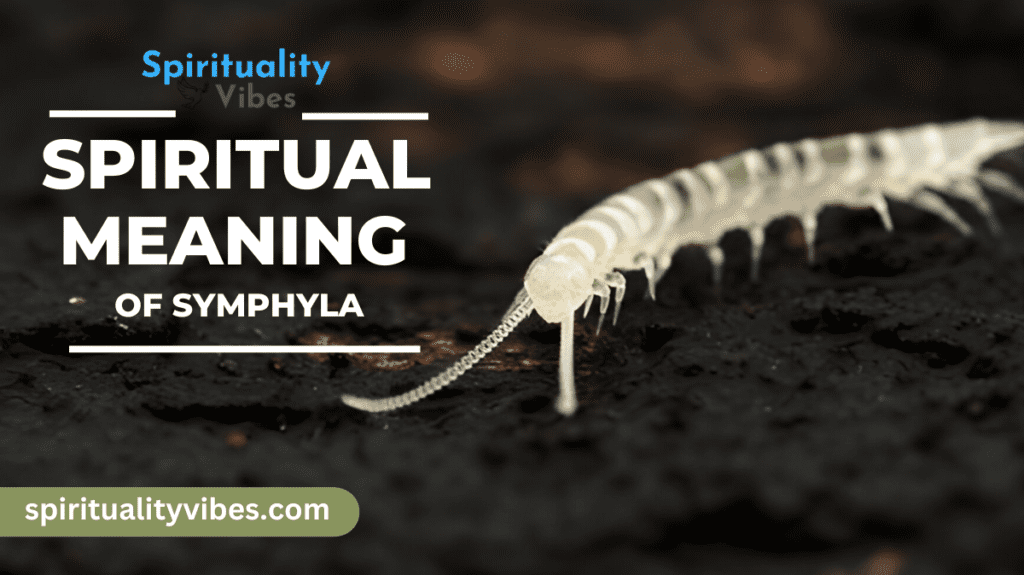 Spiritual Meaning of Symphyla