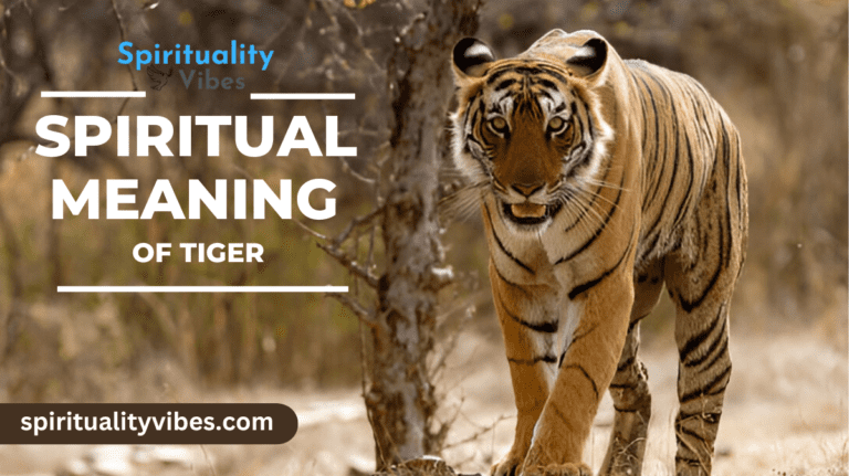 Spiritual Meaning of Tiger