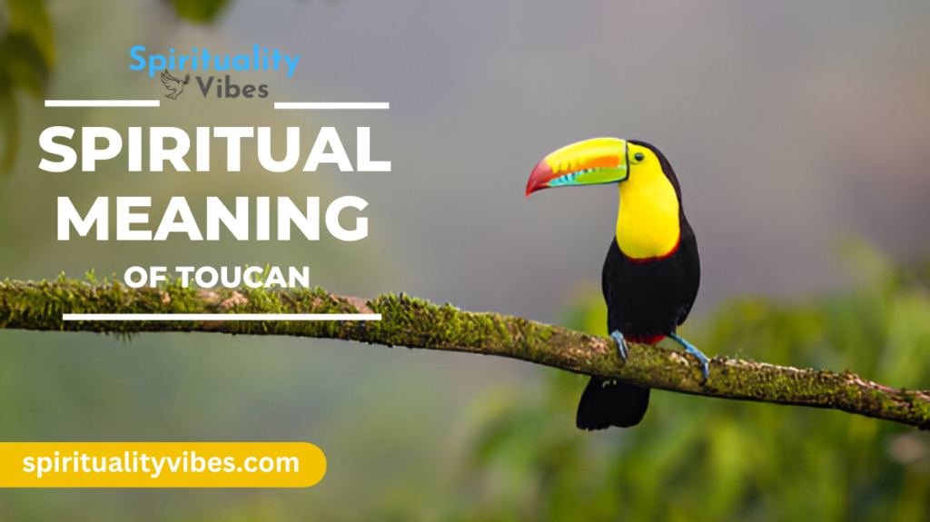 Spiritual Meaning of Toucan