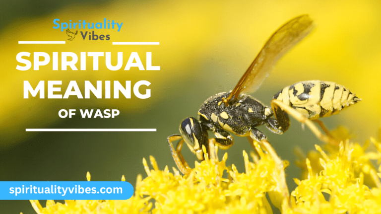 Spiritual Meaning of Wasp