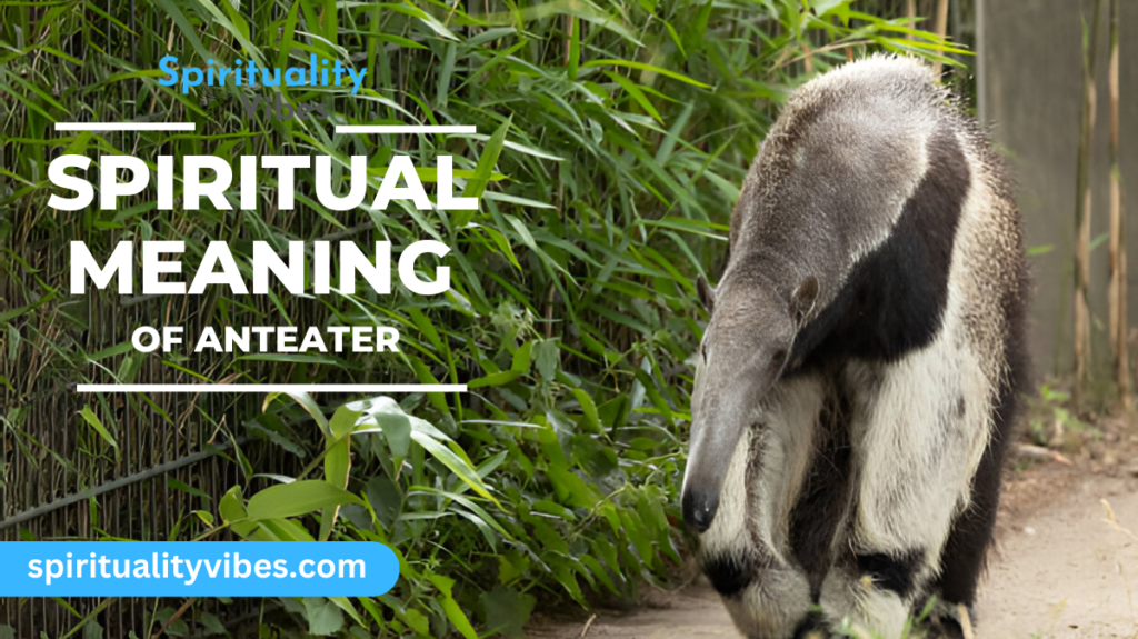 Spiritual Meaning of Anteater