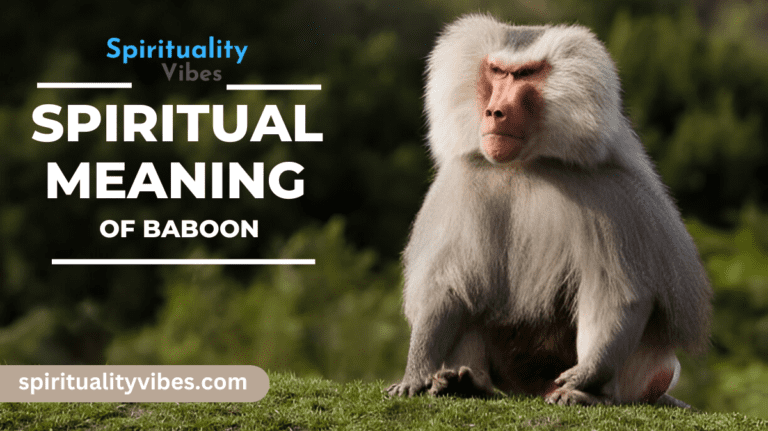 Spiritual Meaning of Baboon