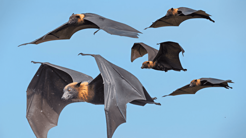 Spiritual Meaning of Bat