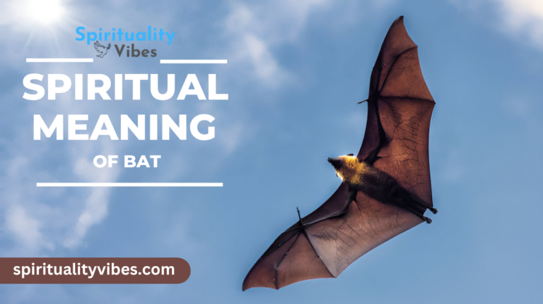 Spiritual Meaning of Bat