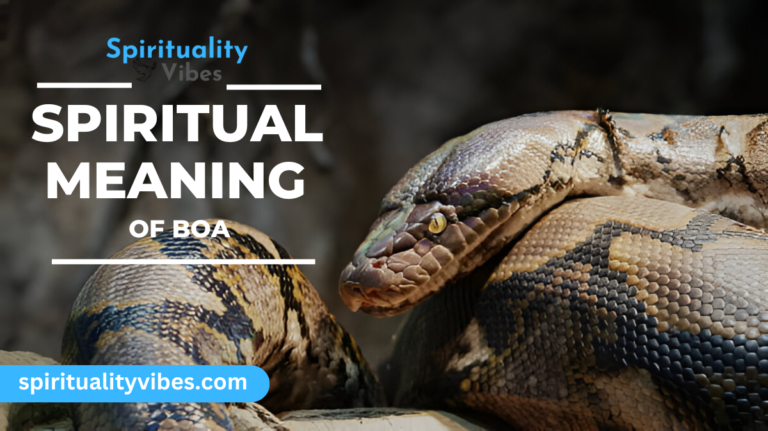 Spiritual Meaning of Boa