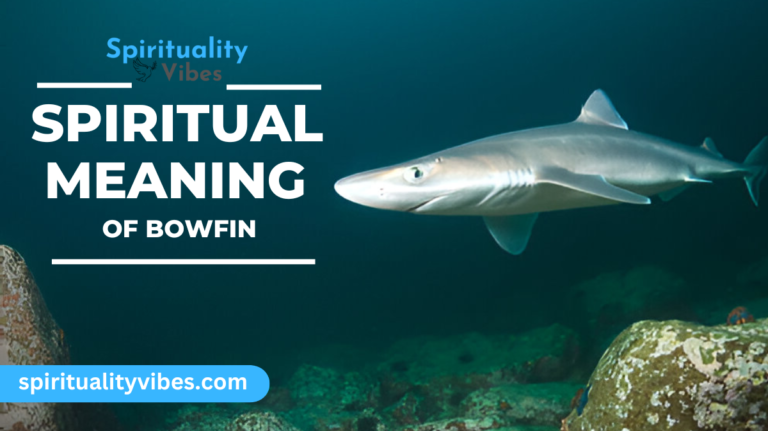 Spiritual Meaning of Bowfin