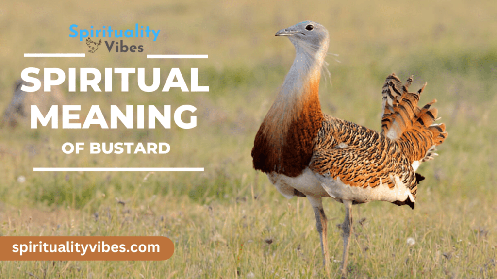 Spiritual Meaning of Bustard