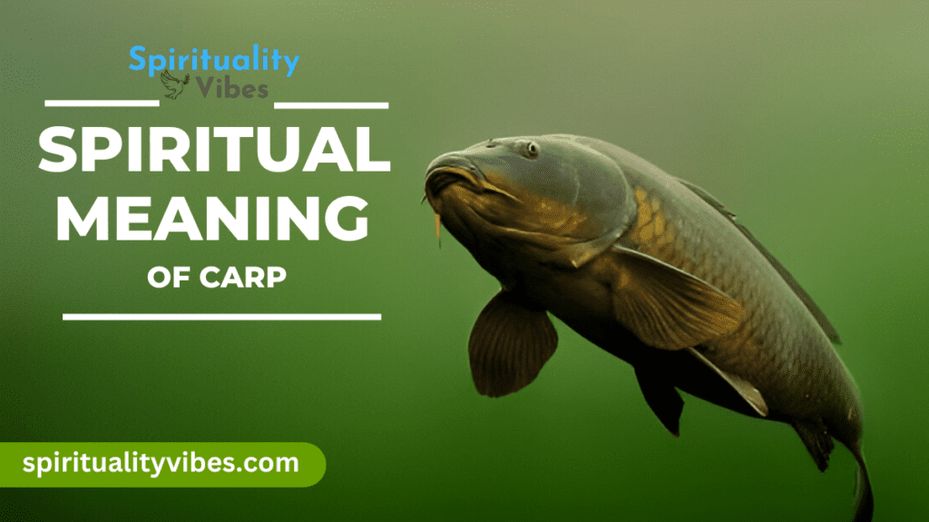 Spiritual Meaning of Carp