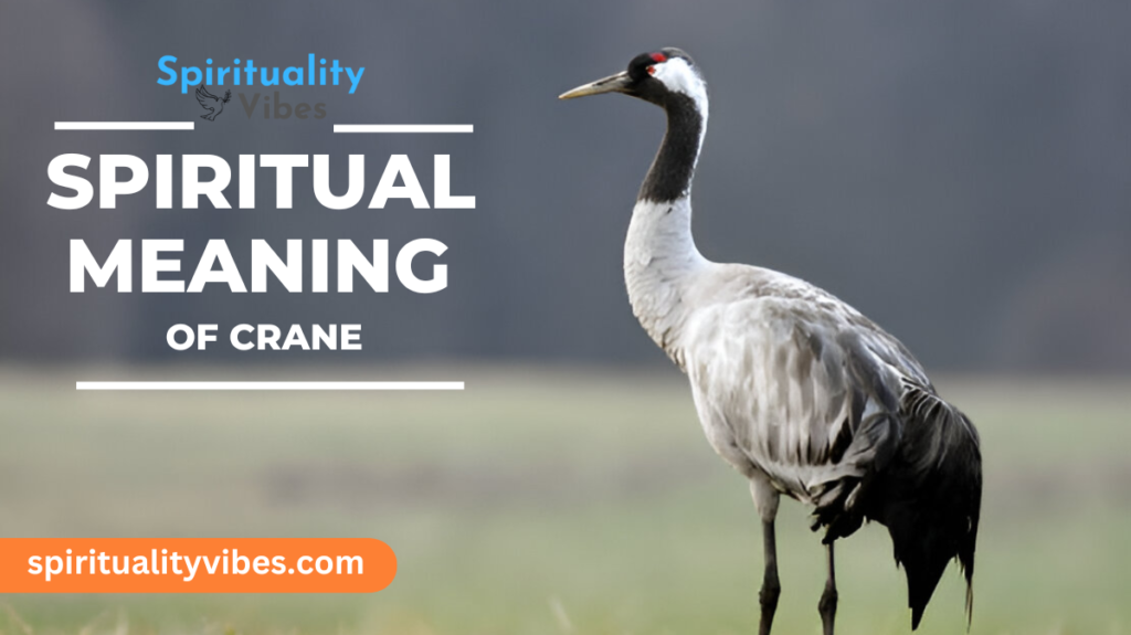 Spiritual Meaning of Crane