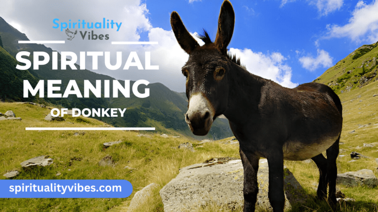 Spiritual Meaning of Donkey