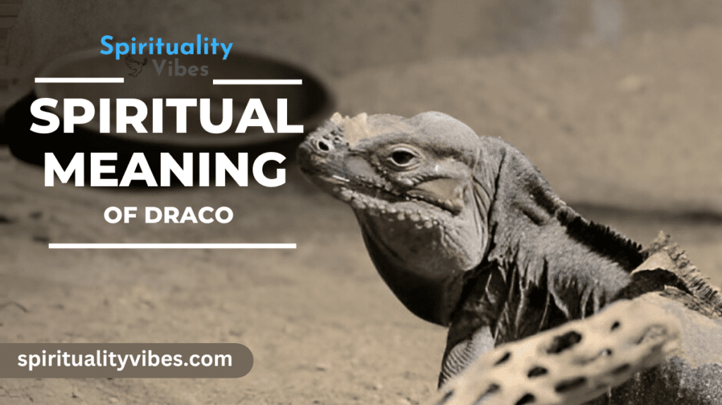 Spiritual Meaning of Draco