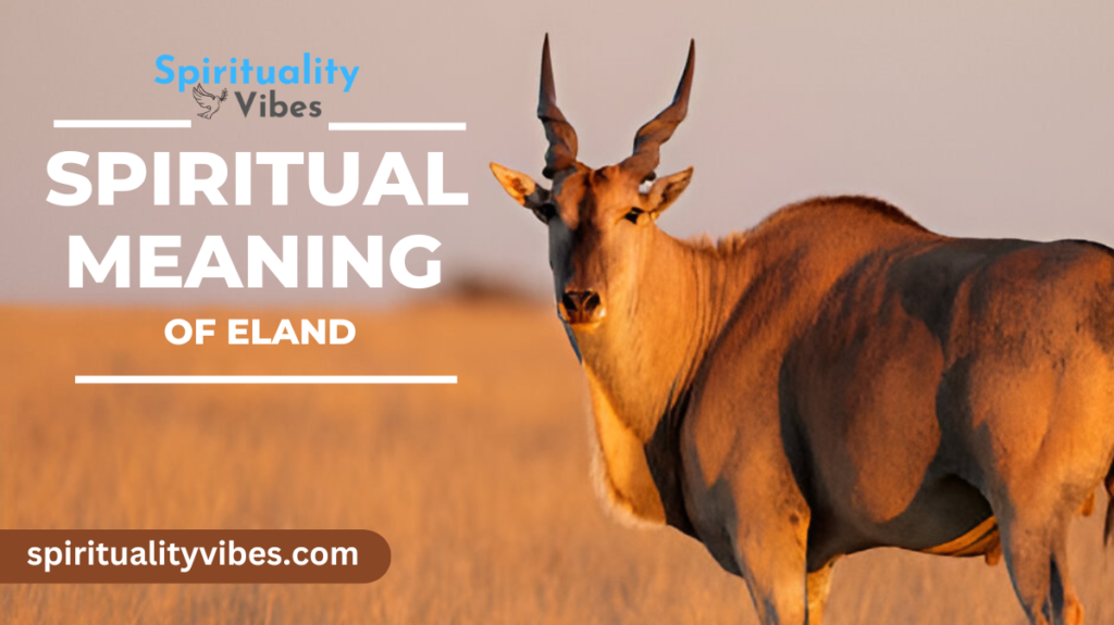 Spiritual Meaning of Eland