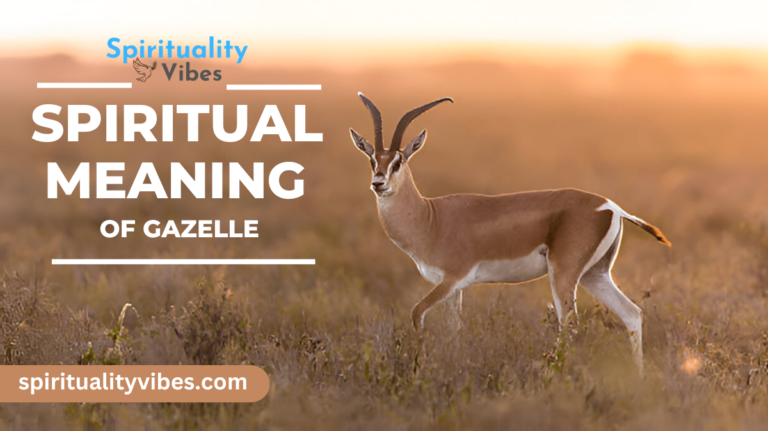 Spiritual Meaning of Gazelle