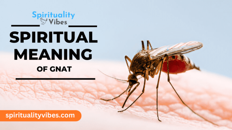 Spiritual Meaning of Gnat