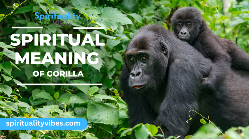 Gorilla Spiritual Meaning | Symbolism, Messages & Lessons!