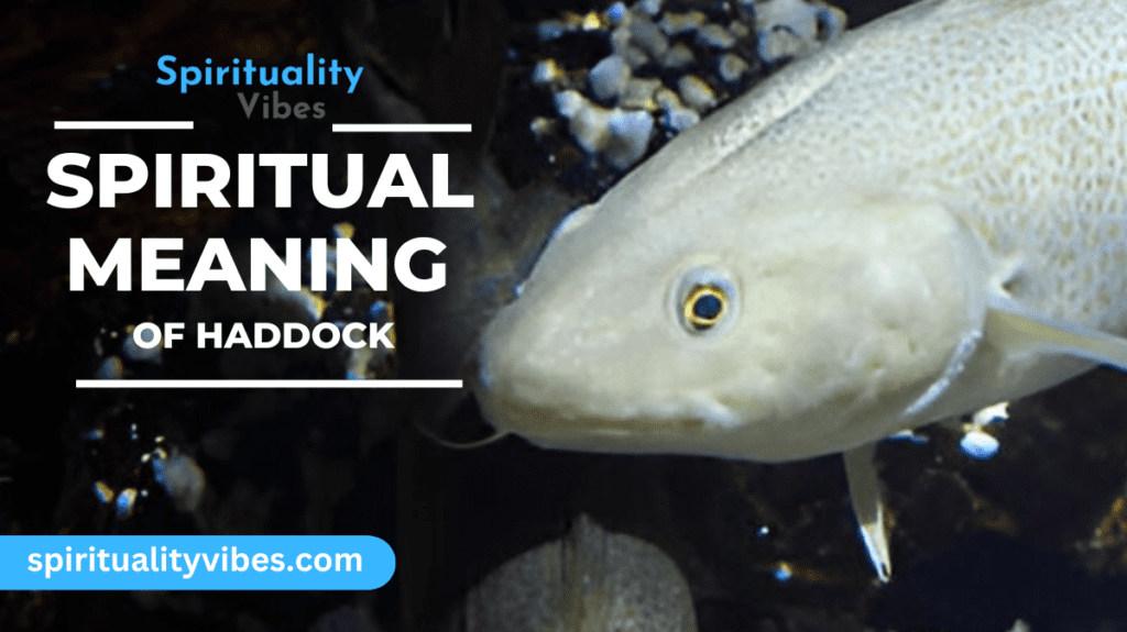 Spiritual Meaning of Haddock