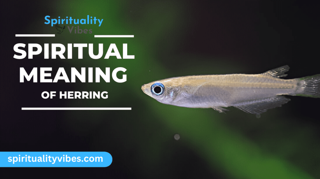 Spiritual Meaning of Herring