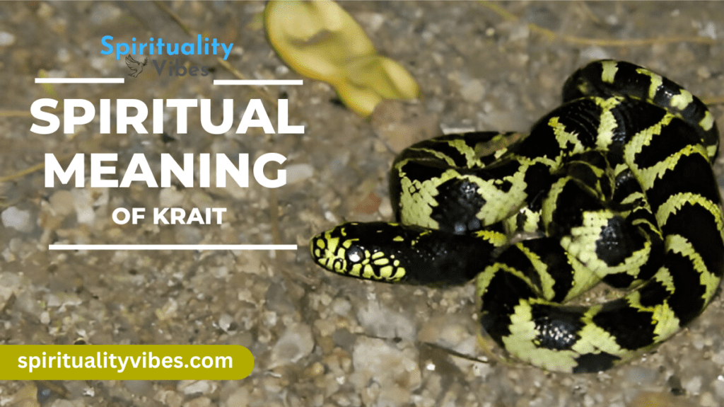 Spiritual Meaning of Krait