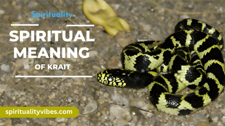 Spiritual Meaning of Krait