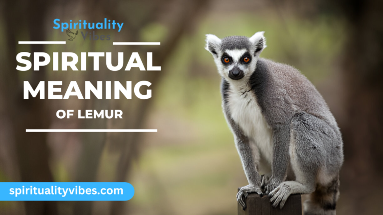 Spiritual Meaning of Lemur