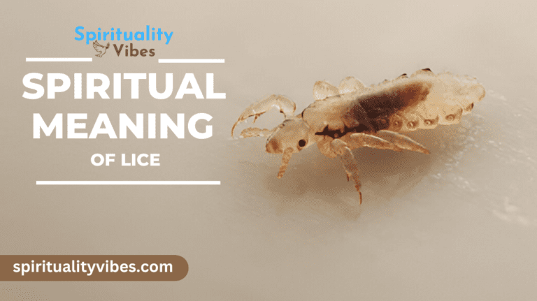 Spiritual Meaning of Lice