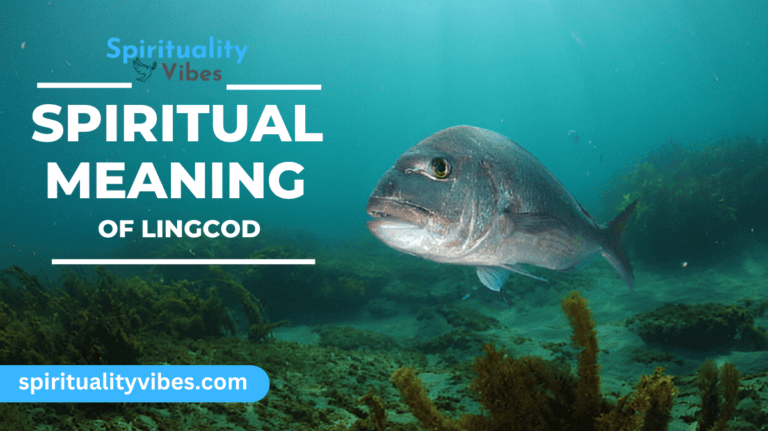 Spiritual Meaning of Lingcod