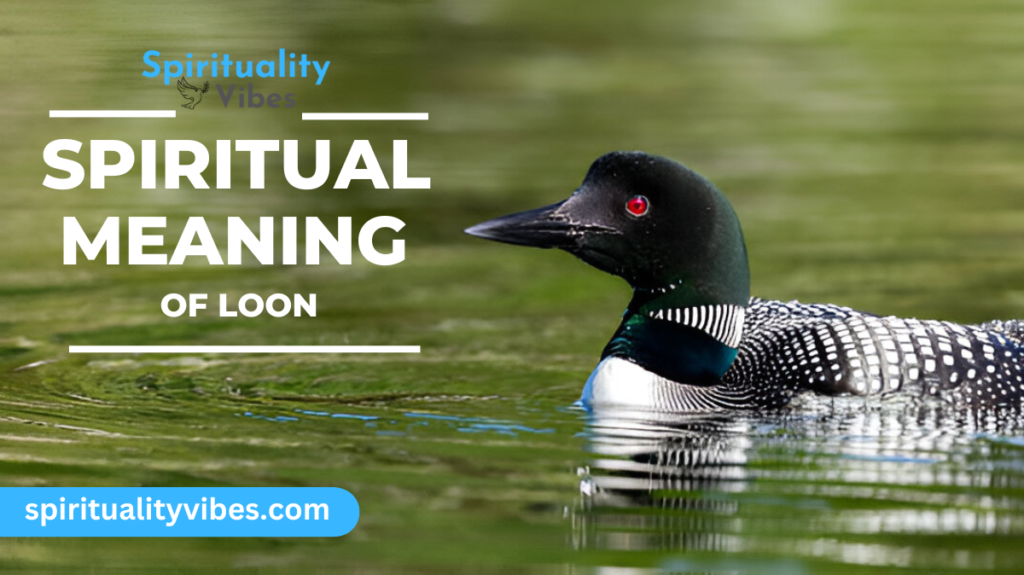 Spiritual Meaning of Loon