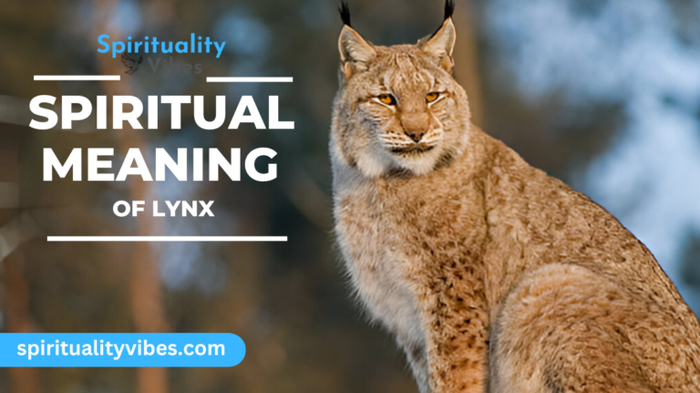 Spiritual Meaning of Lynx