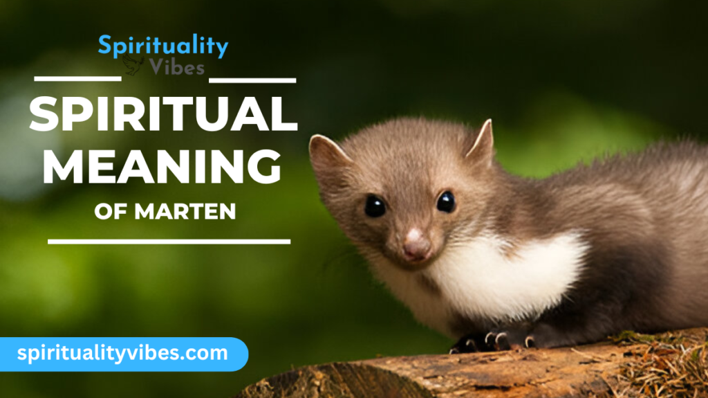 Spiritual Meaning of Marten