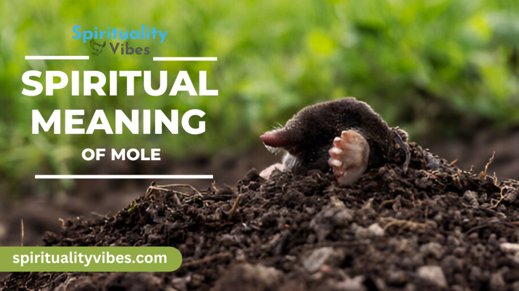 Spiritual Meaning of Mole