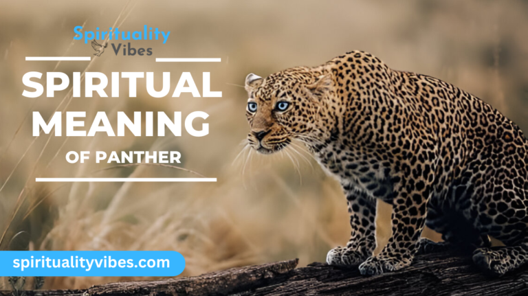 Spiritual Meaning of Panther