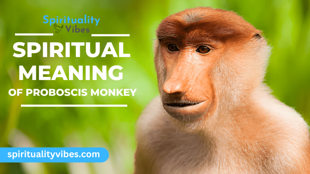 Spiritual Meaning of Proboscis Monkey