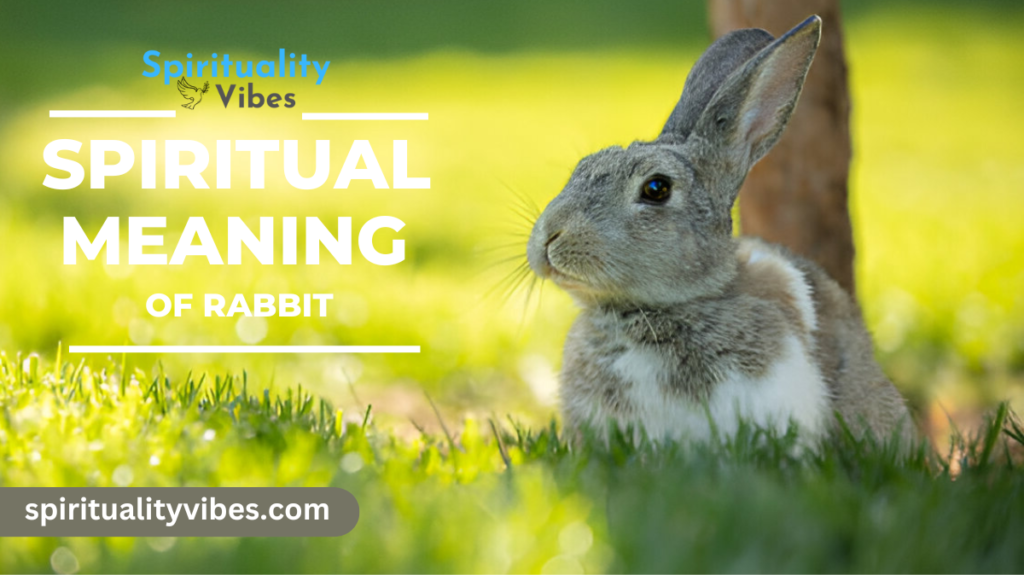 Spiritual Meaning of Rabbit