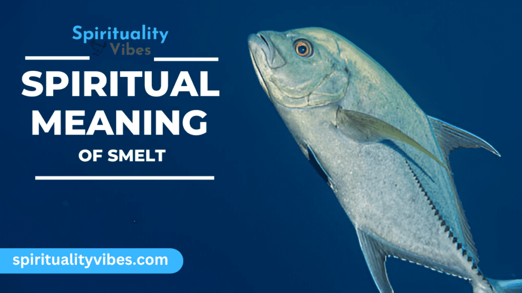 Spiritual Meaning of Smelt