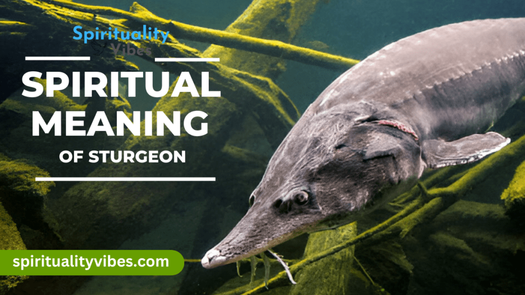 Spiritual Meaning of Sturgeon